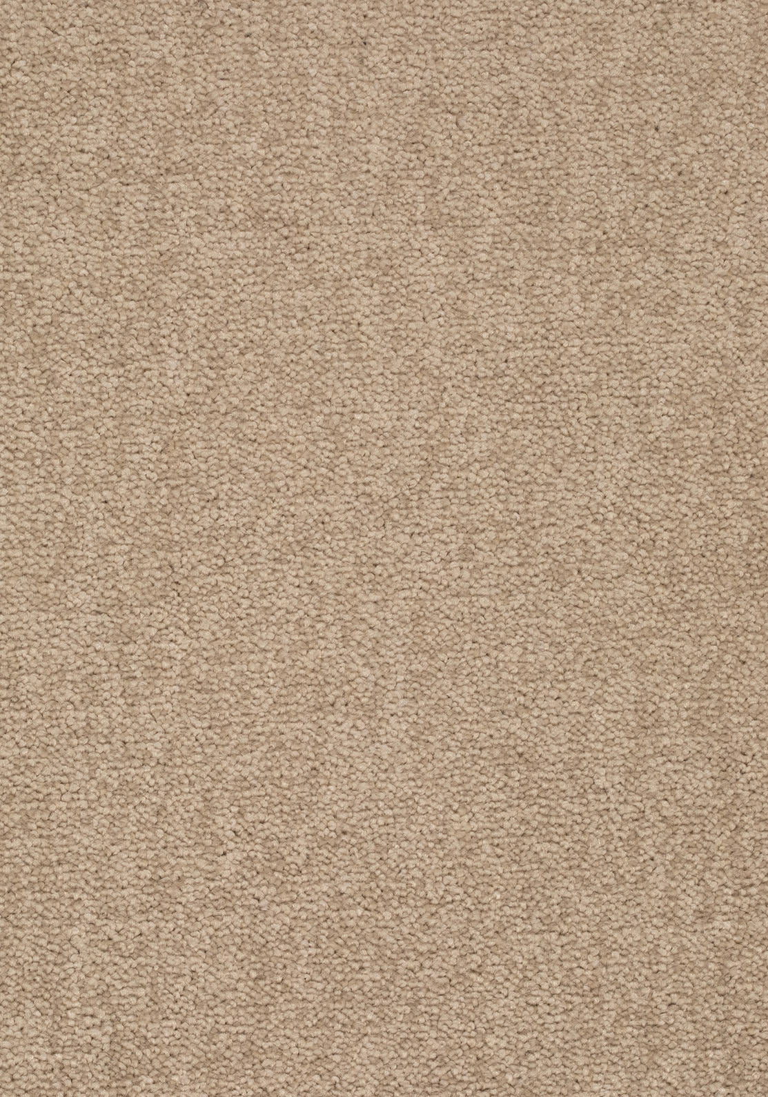 Elvora Teppichboden | Farbe: Sand (221) | Musterfoto (Farbe kann abweichen)