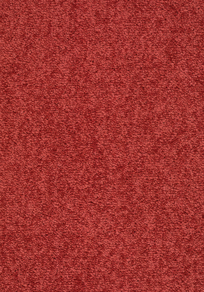 Elvora Teppichboden | Farbe: Rot (131) | Musterfoto (Farbe kann abweichen)