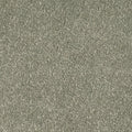 Schilf (093)