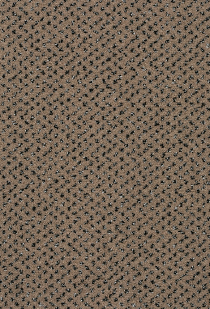Estoril Teppichboden | Farbe: Taupe (072) | Musterfoto (Farbe kann abweichen)