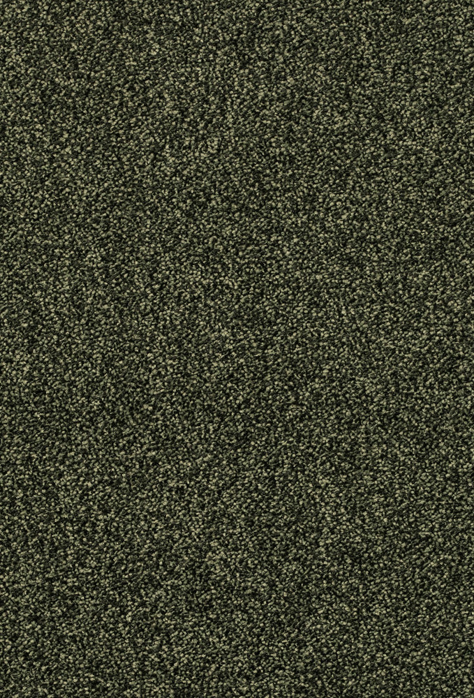 Lumino Teppichboden | Farbe: Dunkeloliv (028) | Musterfoto (Farbe kann abweichen)