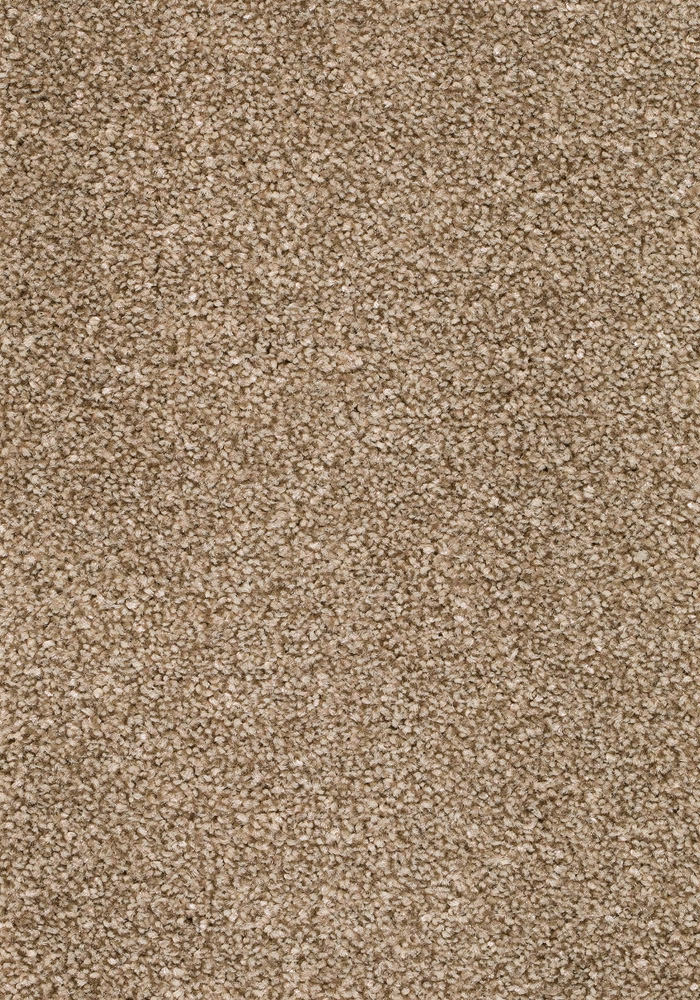 Wildera Teppichboden | Farbe: Haselnuss (270) | Musterfoto (Farbe kann abweichen)