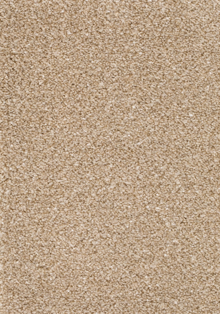 Wildera Teppichboden | Farbe: Sand (250) | Musterfoto (Farbe kann abweichen)