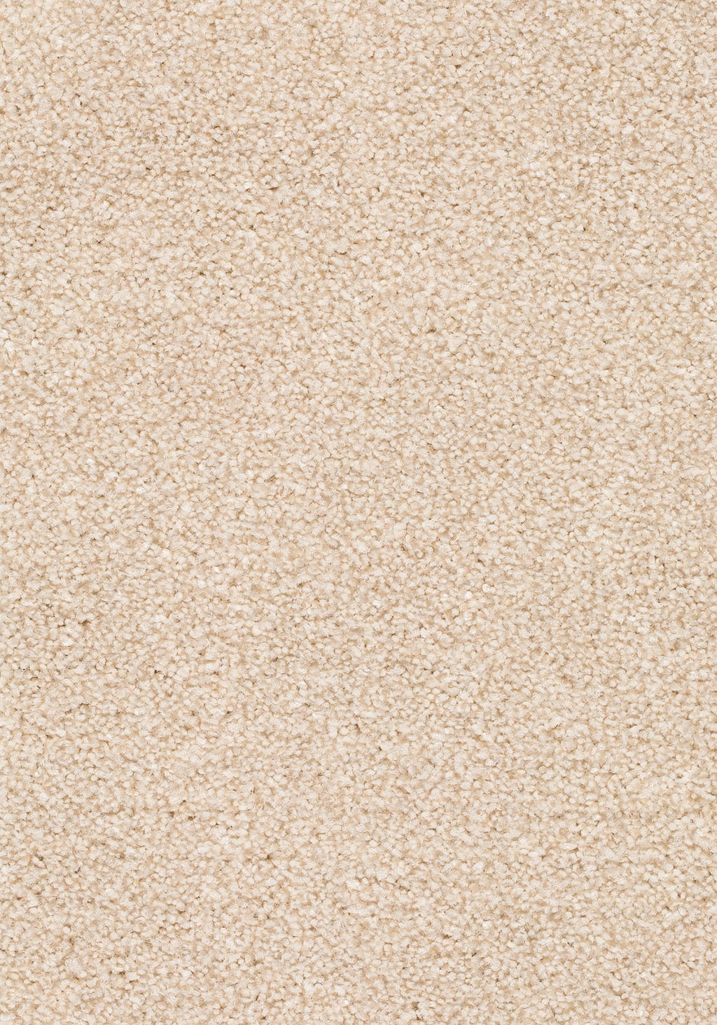 Wildera Teppichboden | Farbe: Creme (240) | Musterfoto (Farbe kann abweichen)