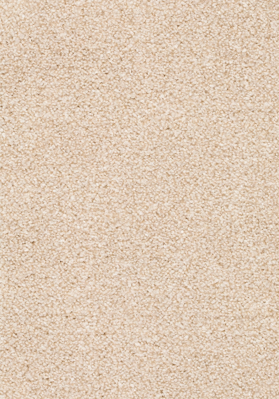 Wildera Teppichboden | Farbe: Creme (240) | Musterfoto (Farbe kann abweichen)