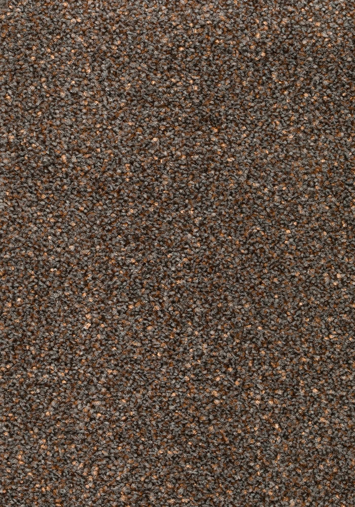 Wildera Teppichboden | Farbe: Mokka (200) | Musterfoto (Farbe kann abweichen)