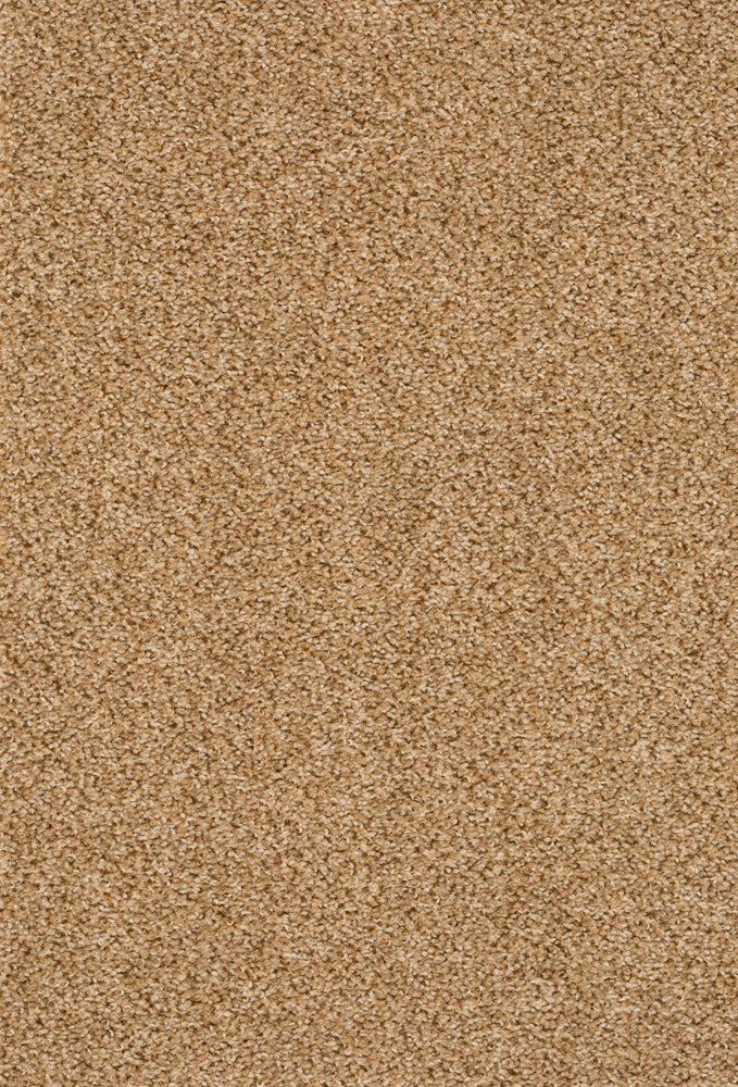 Pallas Teppichboden | Farbe: Karamell (0231) | Musterfoto (Farbe kann abweichen)