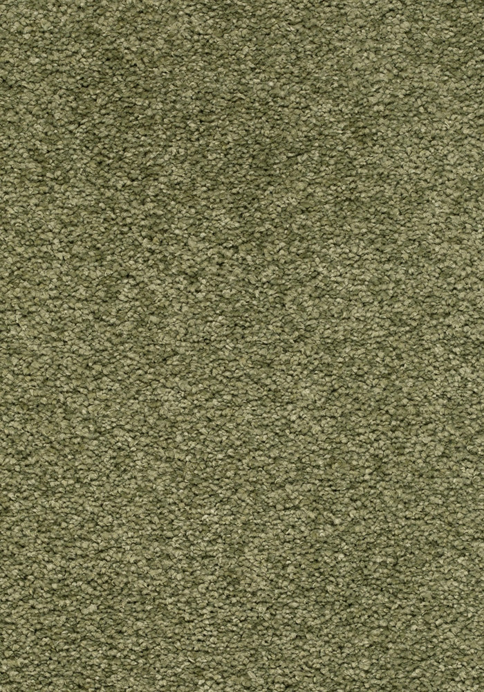 Velmira Teppichboden | Farbe: Olivgrün (026) | Musterfoto (Farbe kann abweichen)