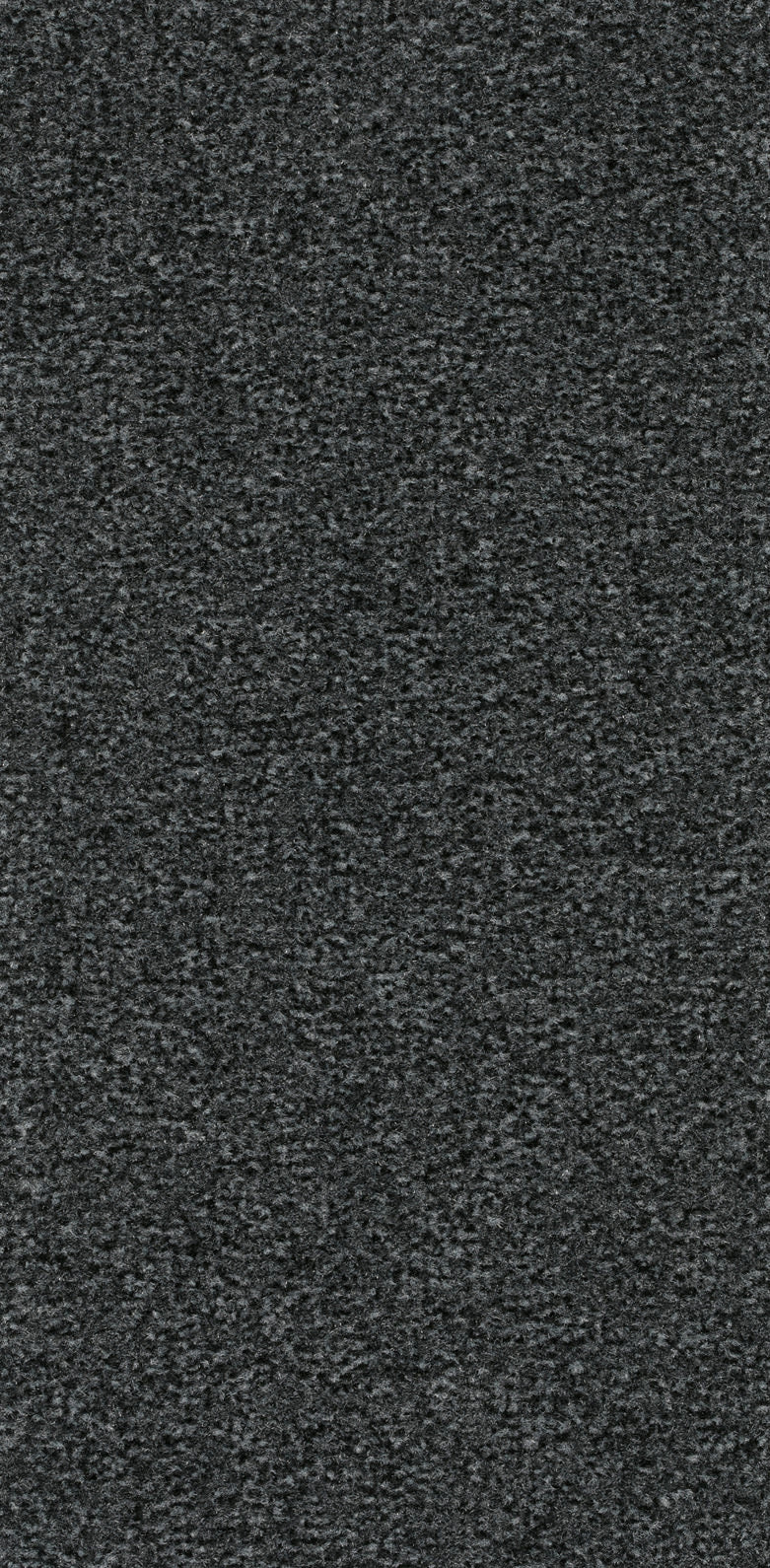 Chalet Teppichboden | Farbe: Graphit (077) | Musterfoto (Farbe kann abweichen)