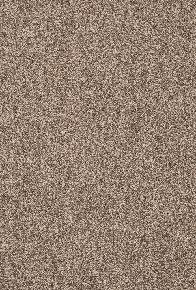Lumino Teppichboden | Farbe: Taupe (038) | Musterfoto (Farbe kann abweichen)