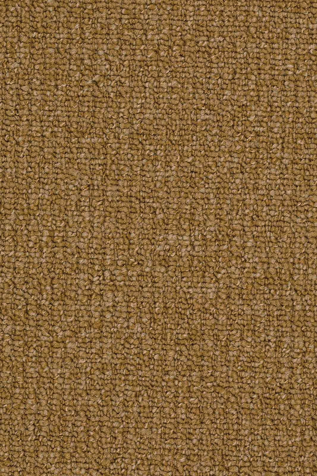 Quintana Teppichboden | Farbe: Senfgelb (213) | Musterfoto (Farbe kann abweichen)