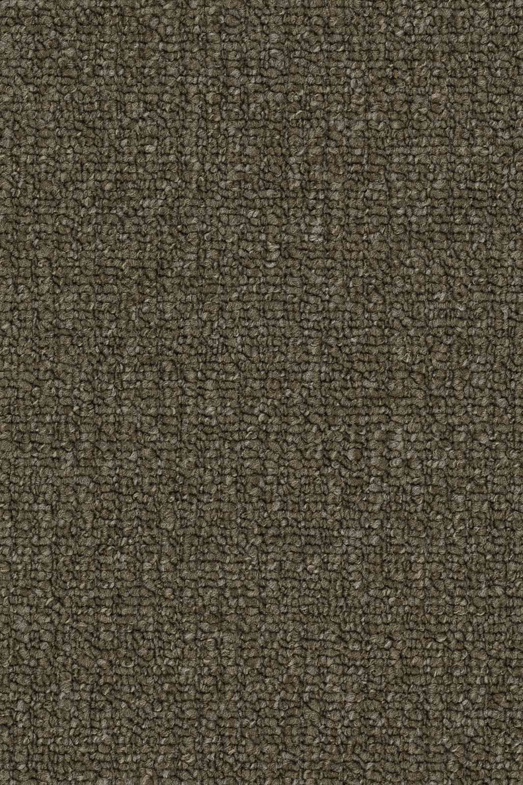 Quintana Teppichboden | Farbe: Oliv (416) | Musterfoto (Farbe kann abweichen)