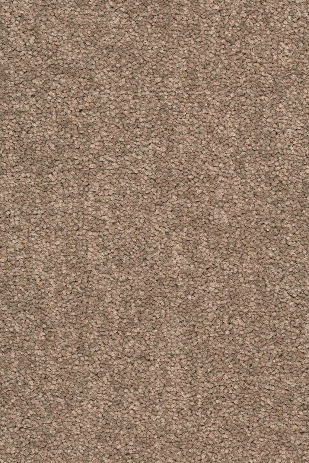 Larissa Teppichboden | Farbe: Greige (250) | Musterfoto (Farbe kann abweichen)