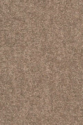 Larissa Teppichboden | Farbe: Greige (250) | Musterfoto (Farbe kann abweichen)