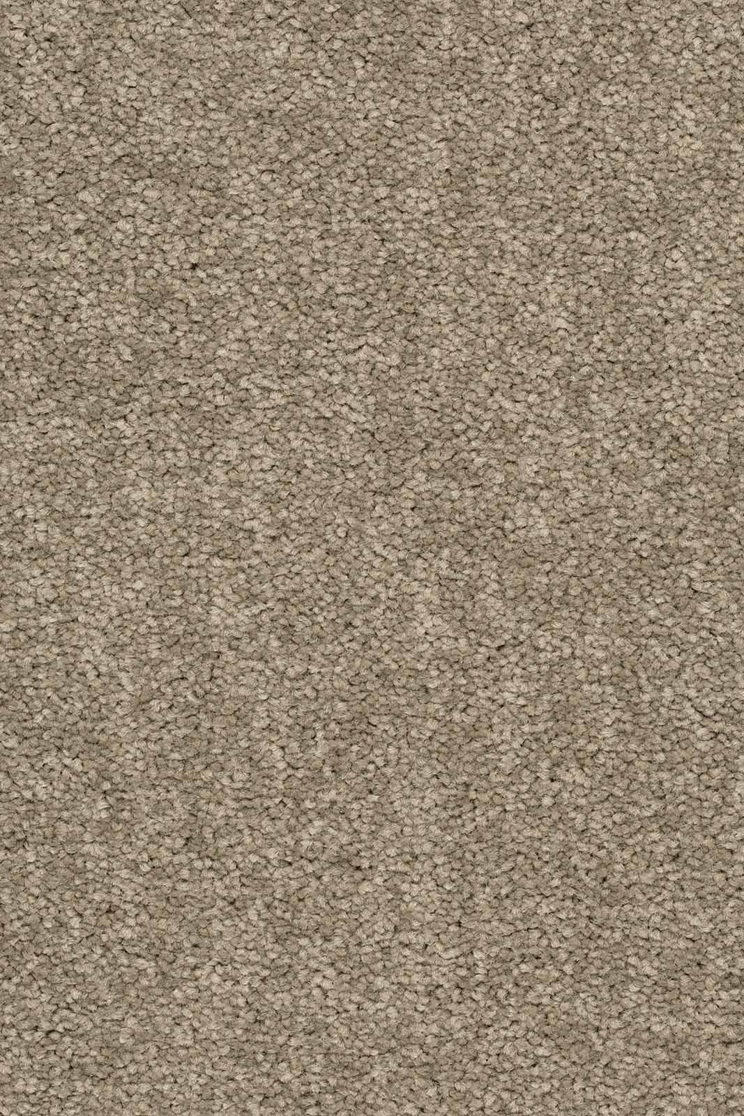 Larissa Teppichboden | Farbe: Greige (250) | Musterfoto (Farbe kann abweichen)