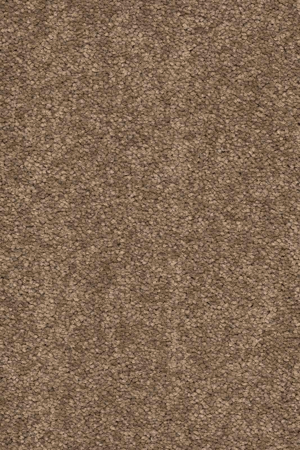 Larissa Teppichboden | Farbe: Taupe (260) | Musterfoto (Farbe kann abweichen)