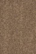 Larissa Teppichboden | Farbe: Taupe (260) | Musterfoto (Farbe kann abweichen)