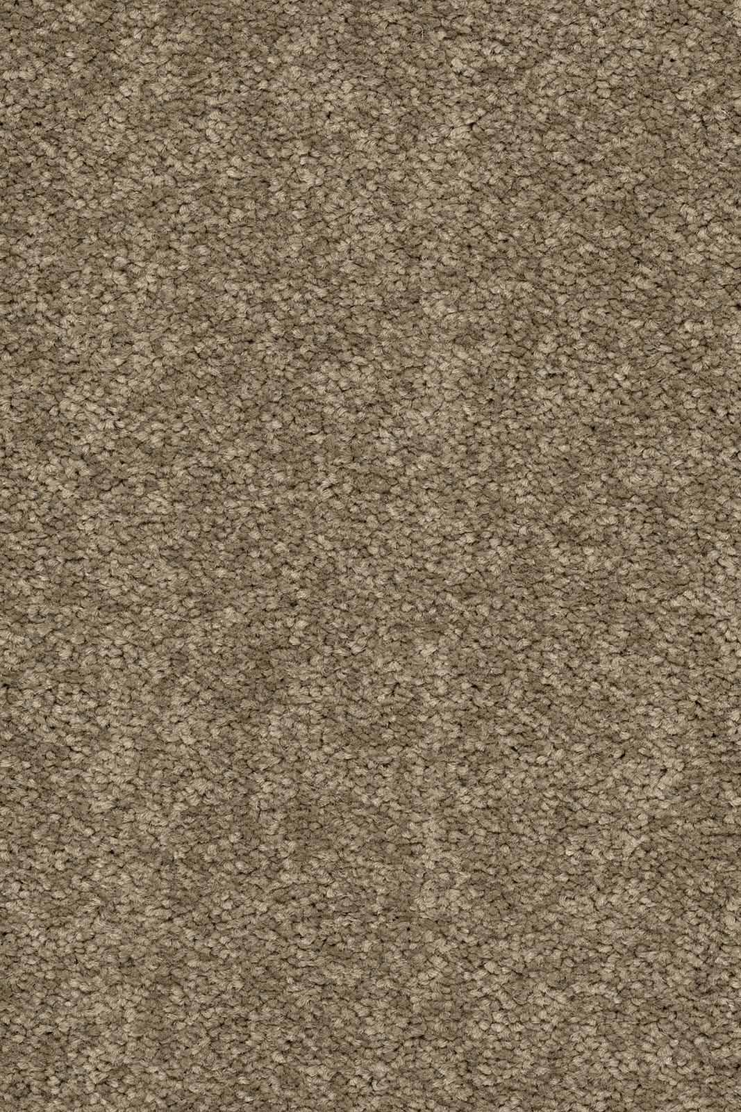 Larissa Teppichboden | Farbe: Taupe (260) | Musterfoto (Farbe kann abweichen)