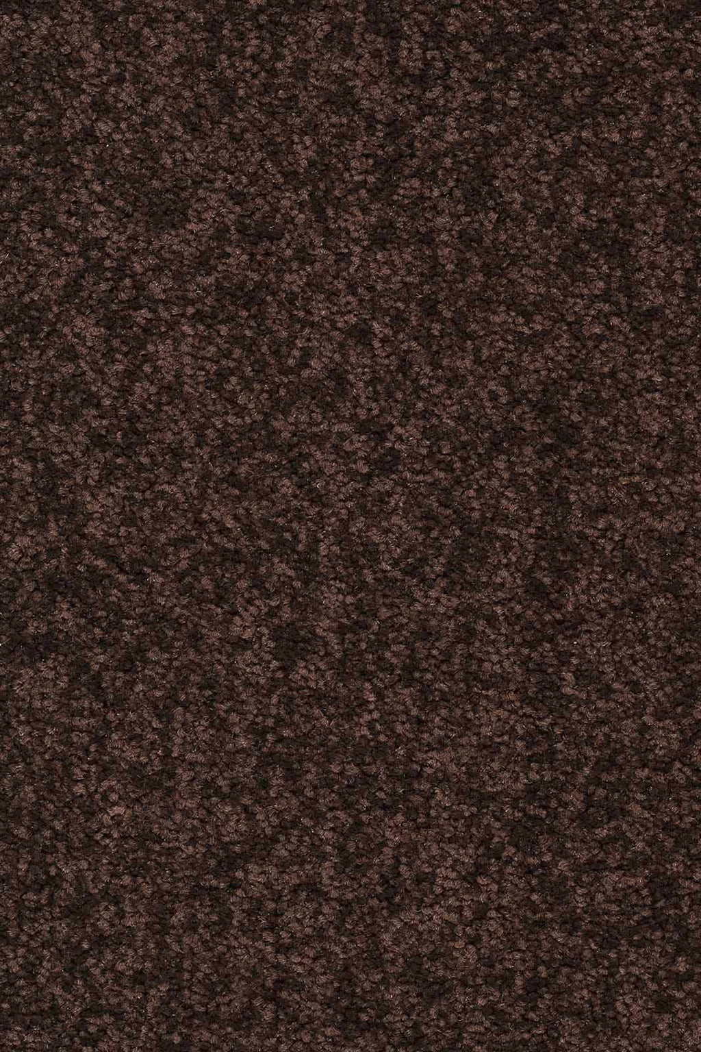 Larissa Teppichboden | Farbe: Dunkelbraun (400) | Musterfoto (Farbe kann abweichen)
