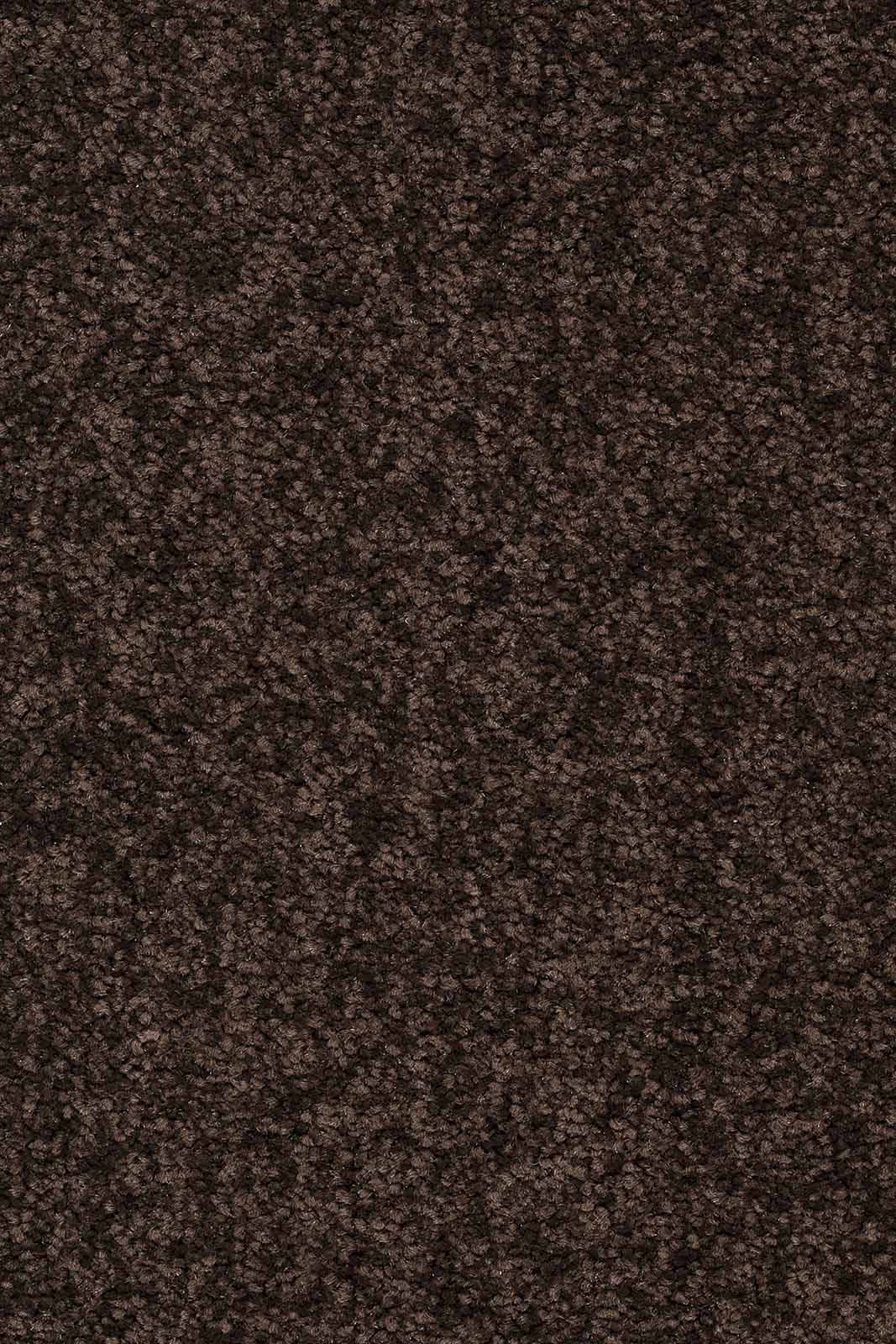 Larissa Teppichboden | Farbe: Dunkelbraun (400) | Musterfoto (Farbe kann abweichen)