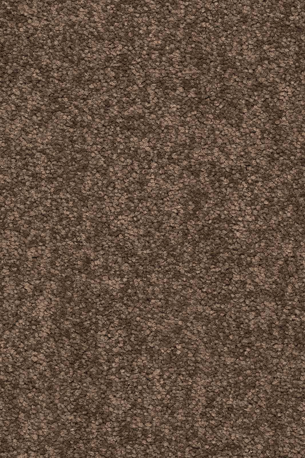 Larissa Teppichboden | Farbe: Mokka (410) | Musterfoto (Farbe kann abweichen)