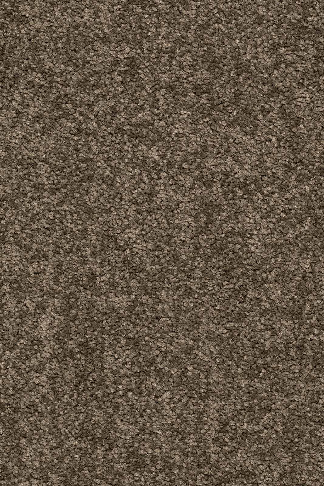 Larissa Teppichboden | Farbe: Mokka (410) | Musterfoto (Farbe kann abweichen)
