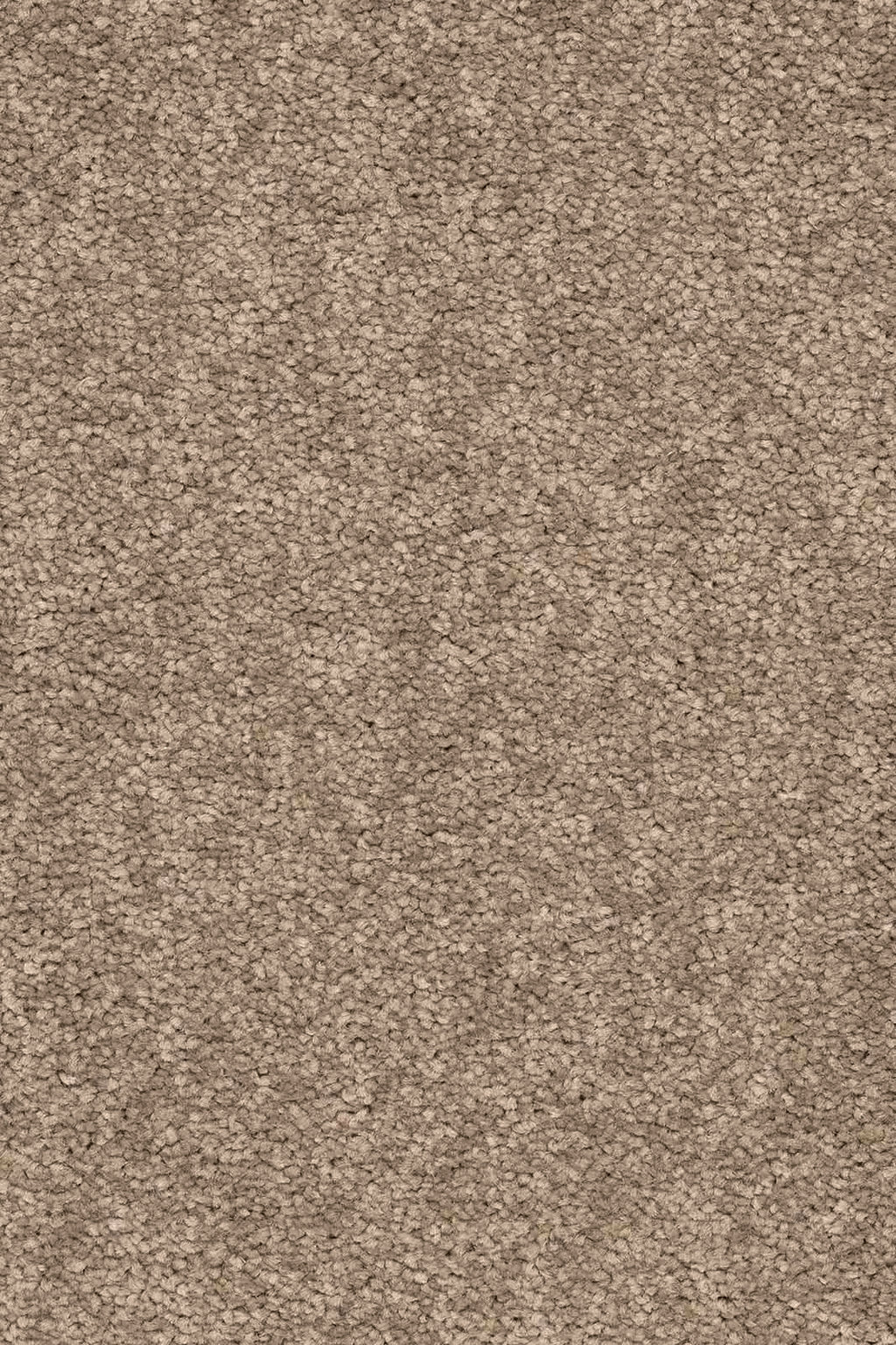 Larissa Teppichboden | Farbe: Sand (430) | Musterfoto (Farbe kann abweichen)