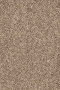 Larissa Teppichboden | Farbe: Sand (430) | Musterfoto (Farbe kann abweichen)