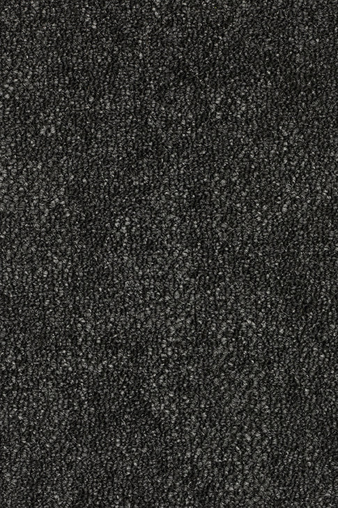 Hestia Teppichboden | Farbe: Anthrazit (078) | Musterfoto (Farbe kann abweichen)