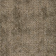 Schilf (050)