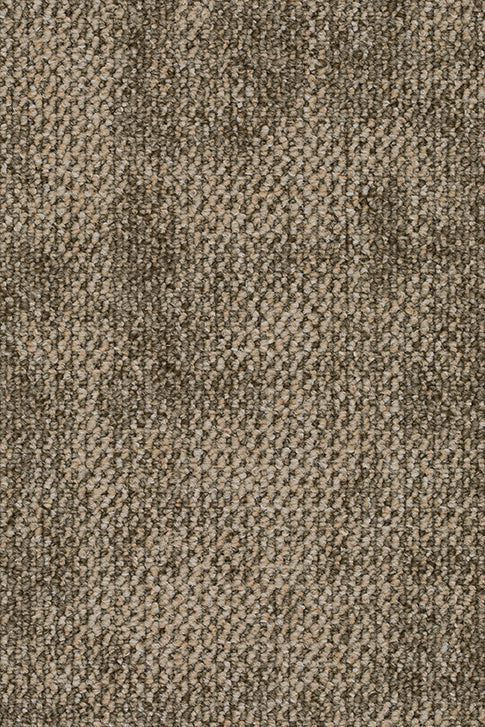 Hestia Teppich nach Maß | Farbe: Schilf (050) | Musterfoto (Farbe kann abweichen)
