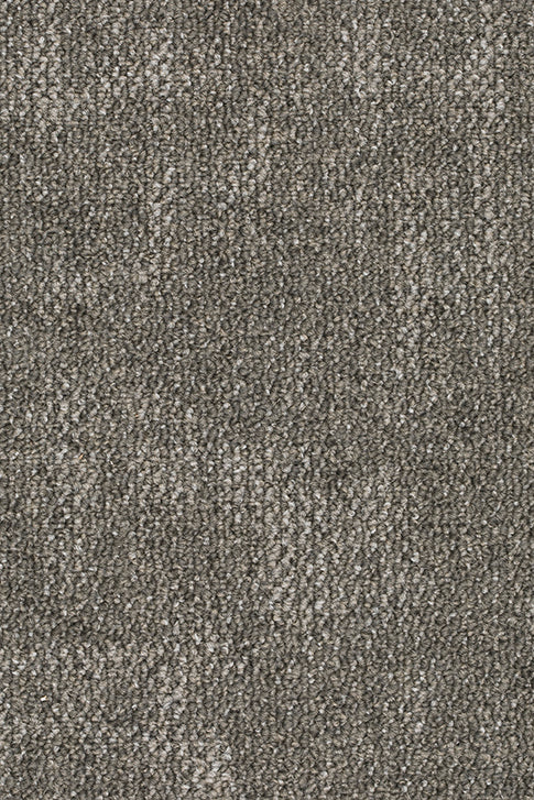 Hestia Teppichboden | Farbe: Greige (073) | Musterfoto (Farbe kann abweichen)