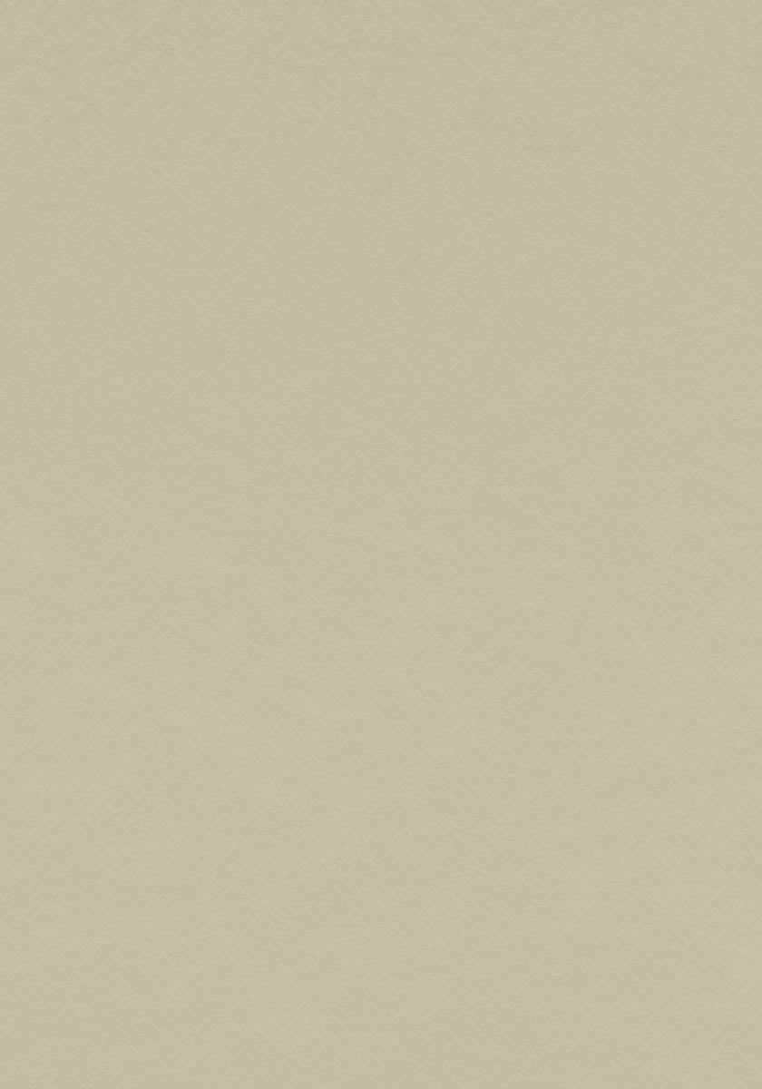 Quendolo Linoleumboden 200cm | Farbe: Kieselbeige | Farbansicht