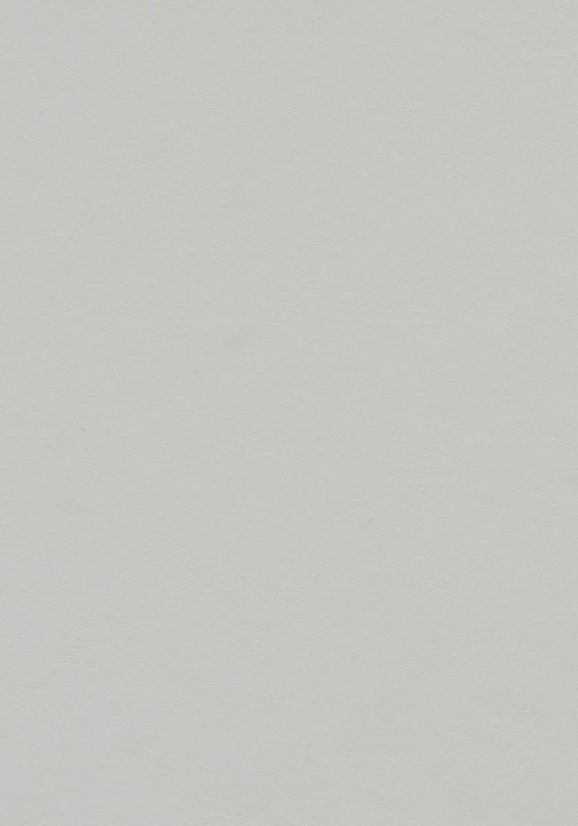 Quendolo Linoleumboden 200cm | Farbe: Lichtgrau | Farbansicht