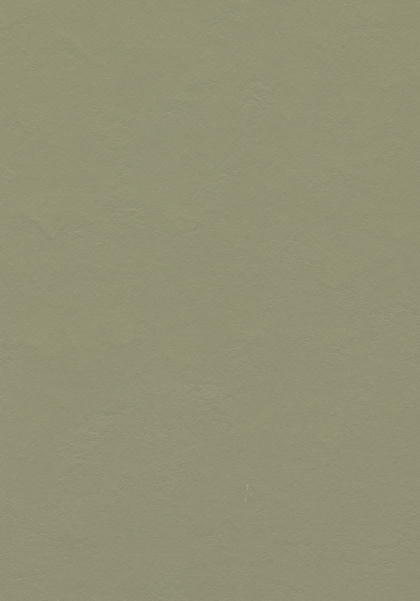 Quendolo Linoleumboden 200cm | Farbe: Schilfgrün | Farbansicht