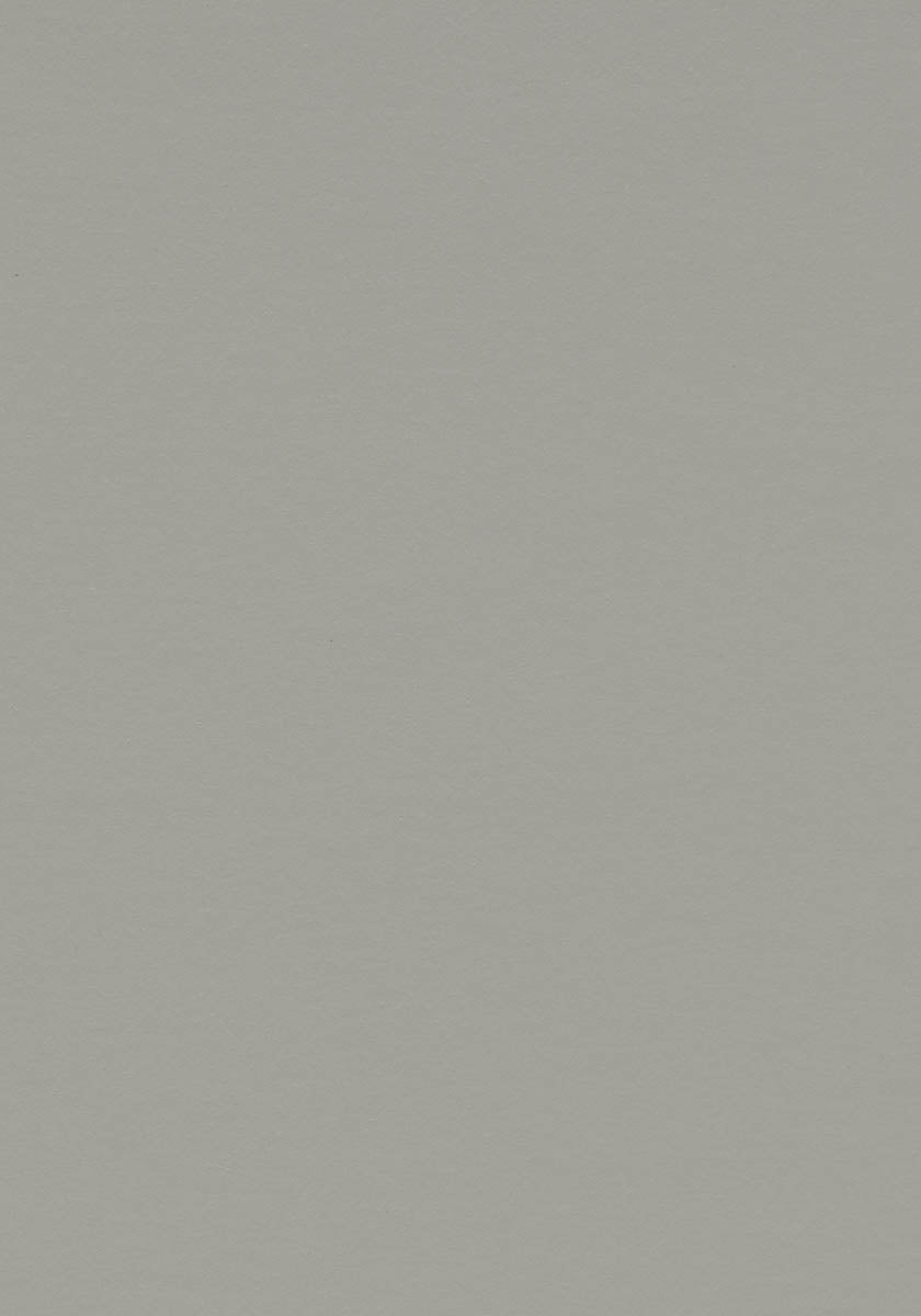 Quendolo Linoleumboden 200cm | Farbe: Steingrau | Farbansicht