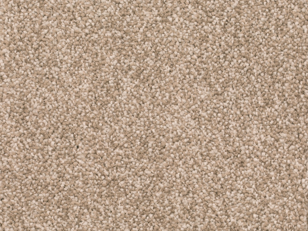 Savena Teppichboden | Farbe: Sand Warm | Farbansicht