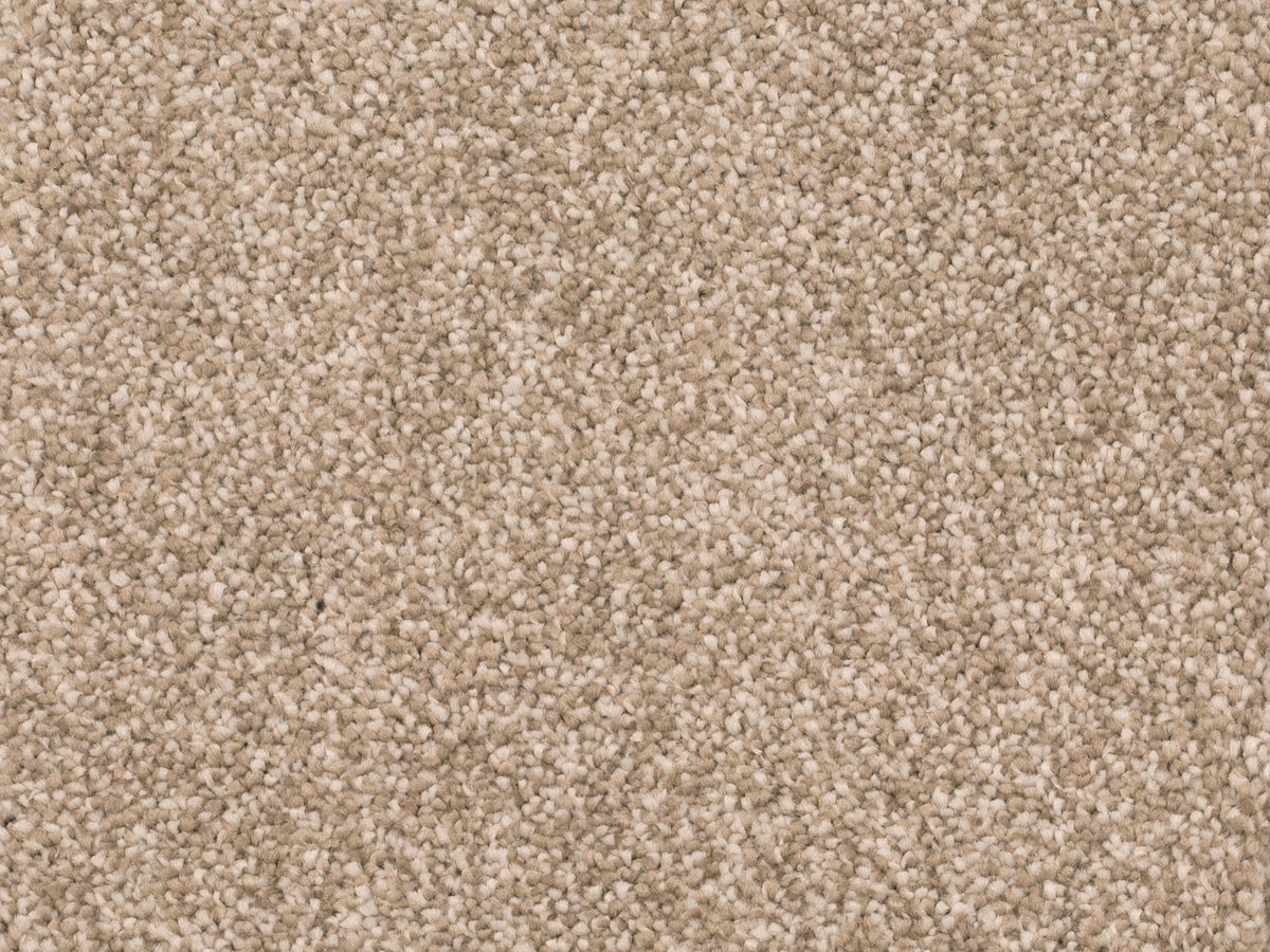 Savena Teppichboden | Farbe: Sand Warm | Farbansicht