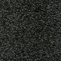 Schwarz (079)