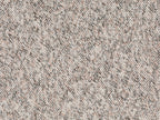 Solera Teppichboden | Farbe: Greige (011) | Farbansicht