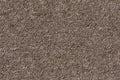 Solvana Teppichboden | Farbe: Taupe Dunkel Dunkler | Farbansicht