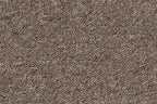 Solvana Teppichboden | Farbe: Taupe Dunkel Dunkler | Farbansicht