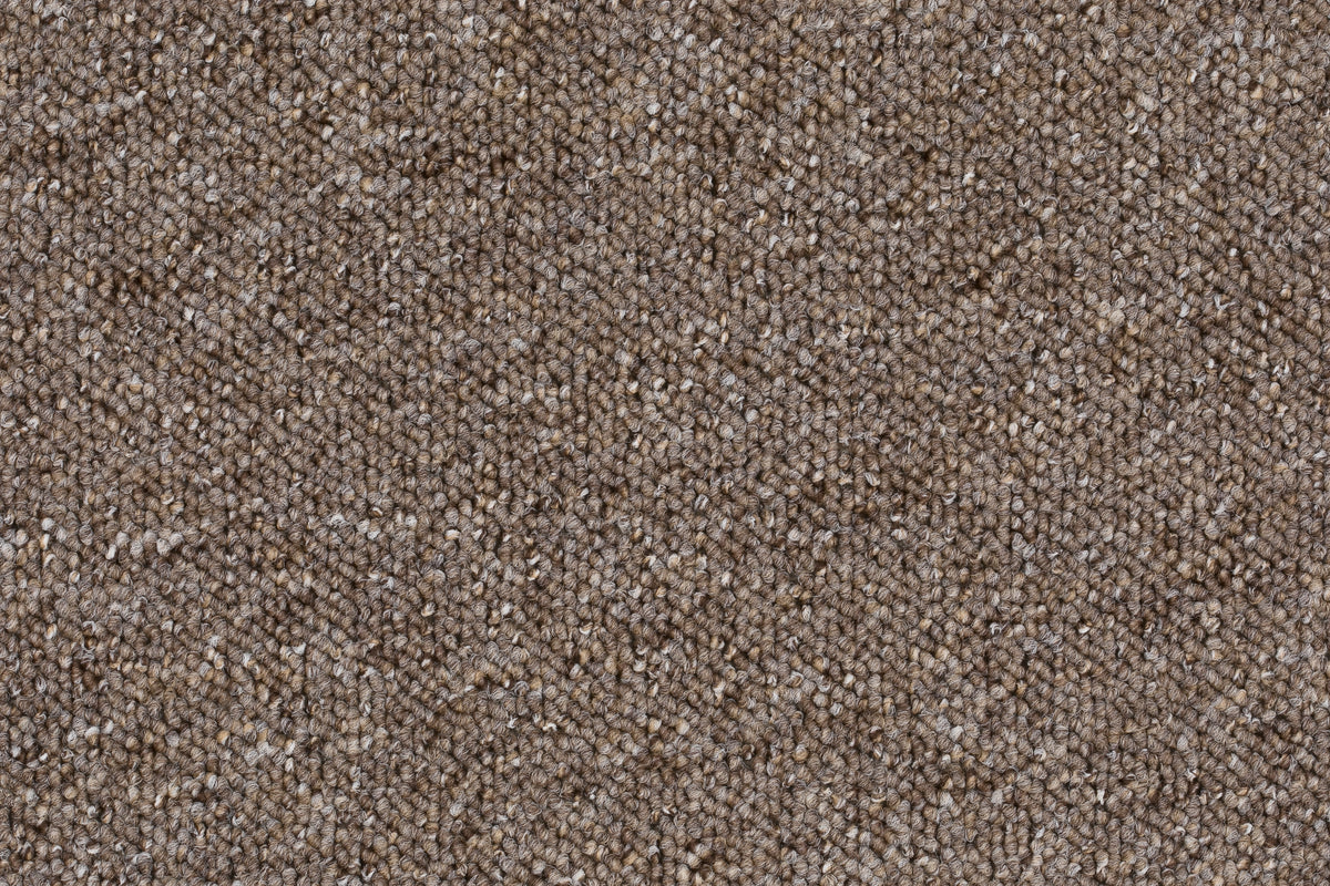 Solvana Teppichboden | Farbe: Taupe Dunkel Dunkler | Farbansicht