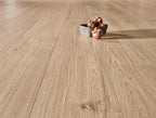Solvera Eiche Edel Greige Holz-Designboden | Ansicht 2