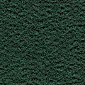 Grün