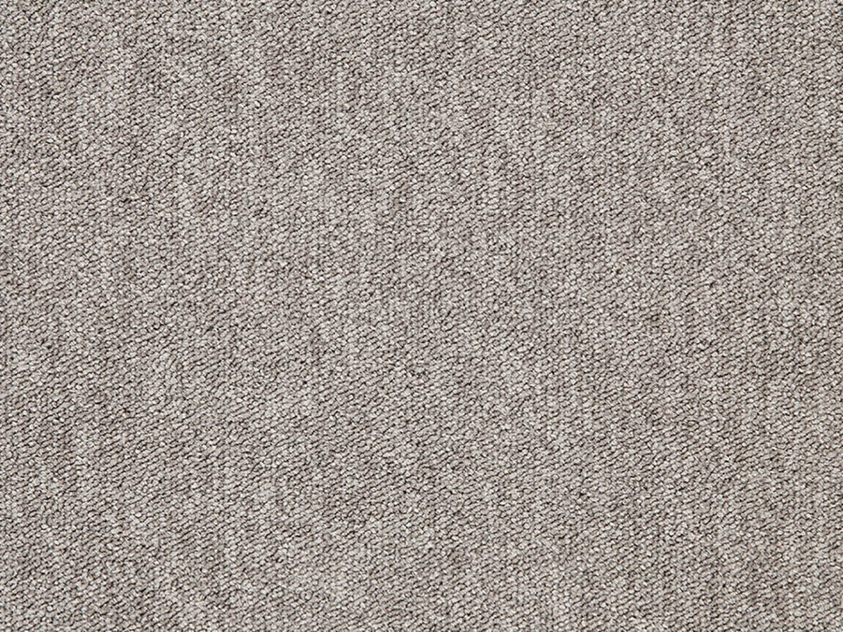 Tageta Teppich nach Maß | Farbe: Kiesel (032) | Farbfoto (Farbe kann abweichen)