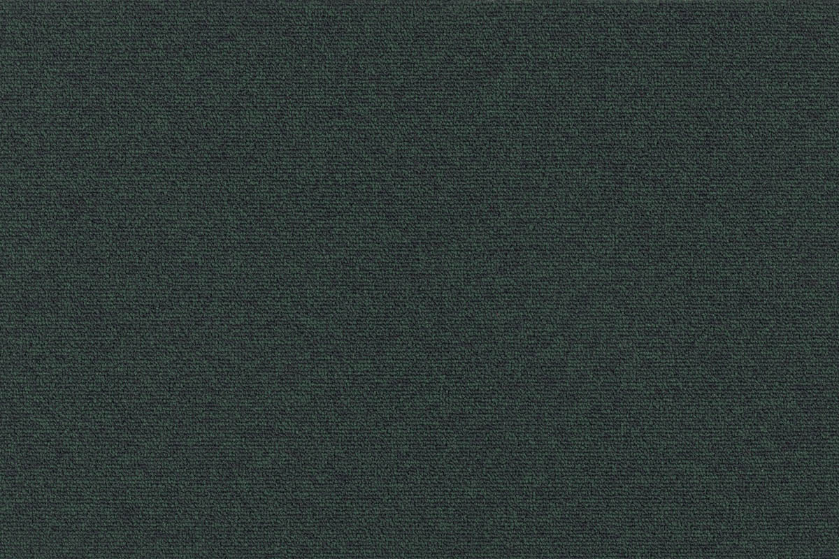 Tageta Teppich nach Maß | Farbe: Tannengrün (027) | Farbfoto (Farbe kann abweichen)