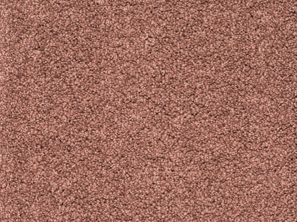 Tamira Teppichboden | Farbe: Terrakotta (180) | Farbansicht