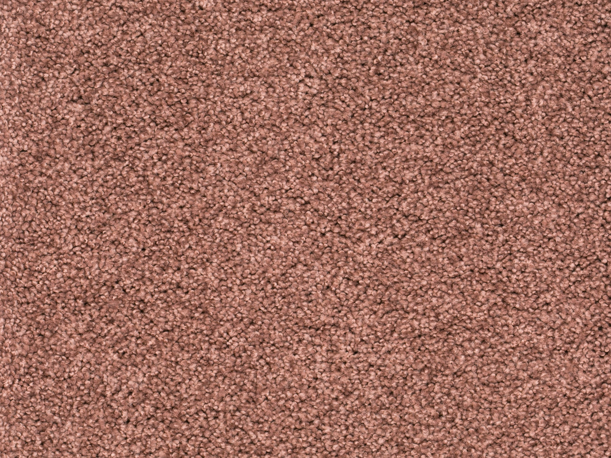 Tamira Teppichboden | Farbe: Terrakotta (180) | Farbansicht