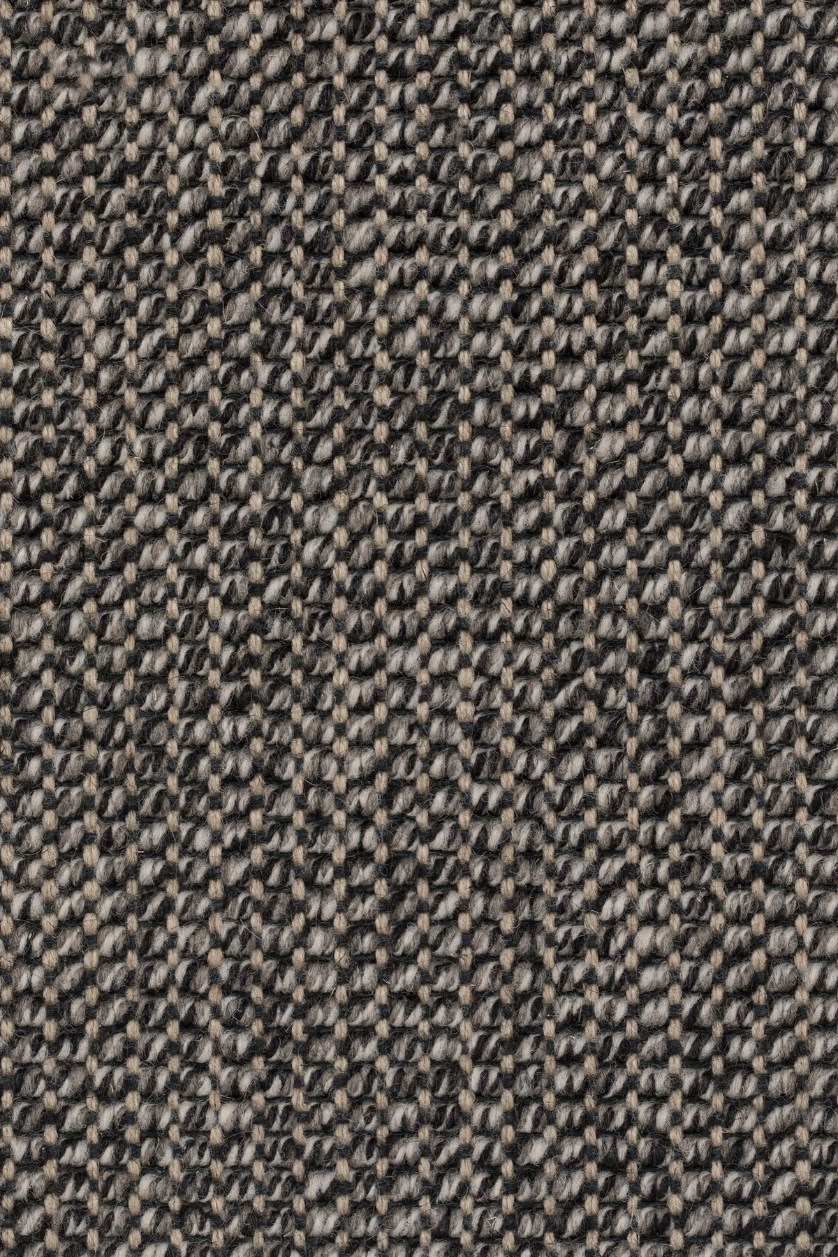 Tessira Teppichboden | Farbe: Graphit (45)
